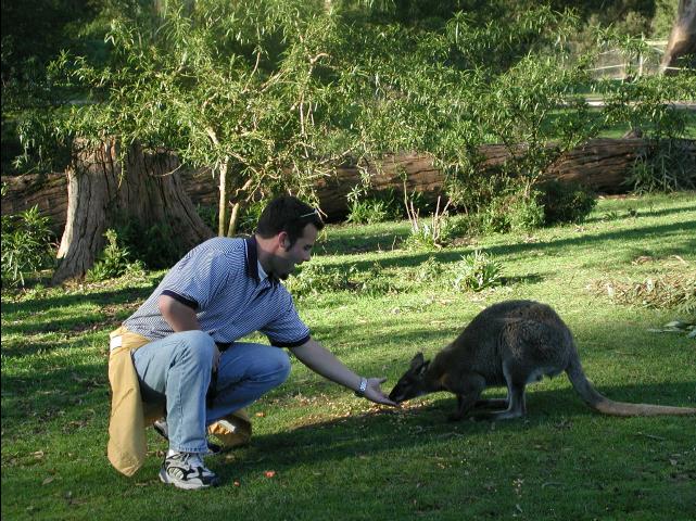 kyle_feeds_kang_funny